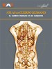 Atlas del cuerpo humano Tomo 01. El cuerpo humano en su conjunto