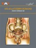 Atlas del cuerpo humano Tomo 11. Aparato reproductor