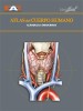 Atlas del cuerpo humano Tomo 14. Glándulas endocrinas